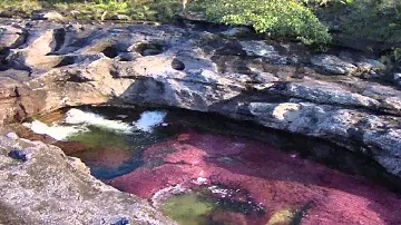 Five Color River - Columbia