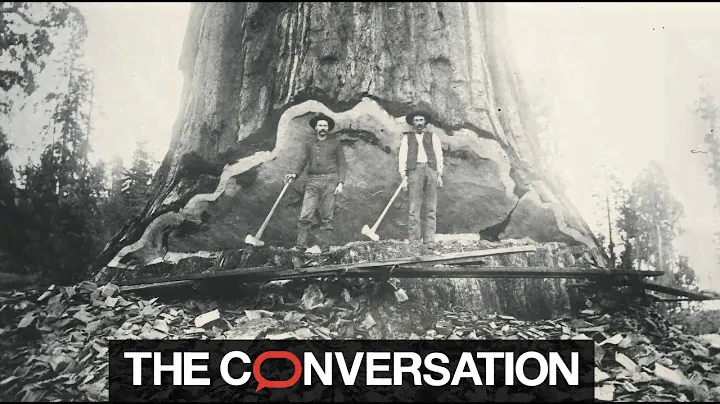 Saving the archives of Sequoia and King's Canyon National Parks from burning down in a wildfire
