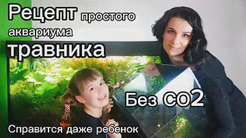 Рецепт простого в содержании аквариума травника без подачи СО2. Питание растений.