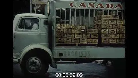 Branded Trucks Deliver, 1950s - Archive Film 1066485