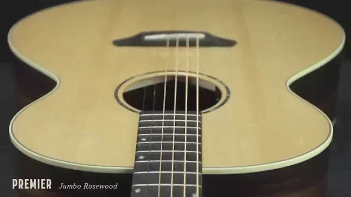 Breedlove Guitars: Premier Jumbo Rosewood Acoustic Guitar