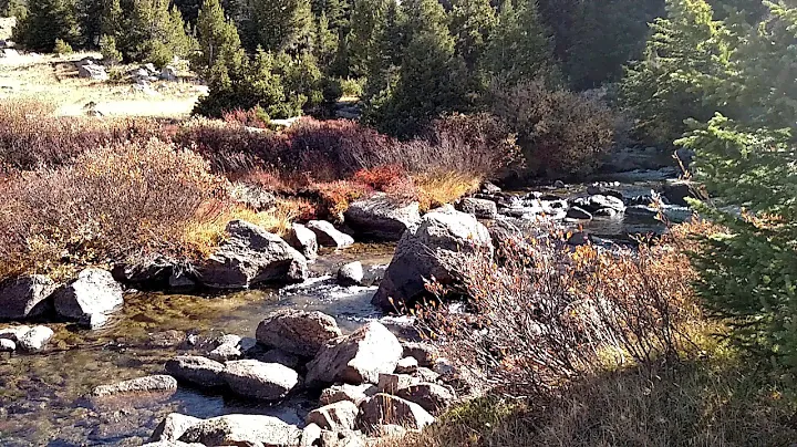 Washakie Creek, Wyoming