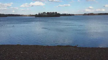 Wind blowing over water - the genesis of waves